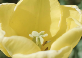 你会介意另一半文化水平低吗 会和比自己文化低的人谈恋爱吗