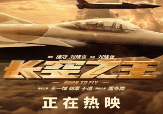 《长空之王》影评首波出炉 《长空之王》观后感来了
