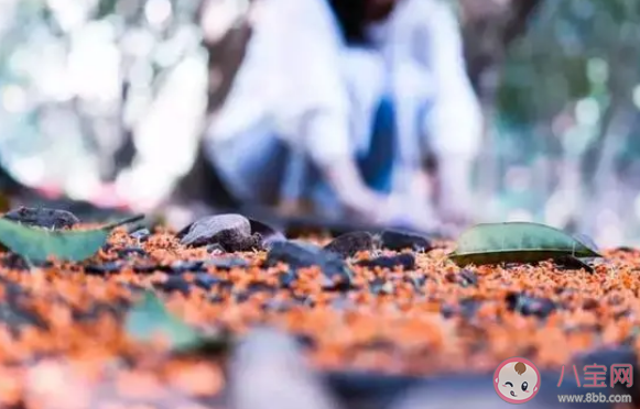 不要和斤斤计较的人一起旅游 旅游都有哪些忌讳