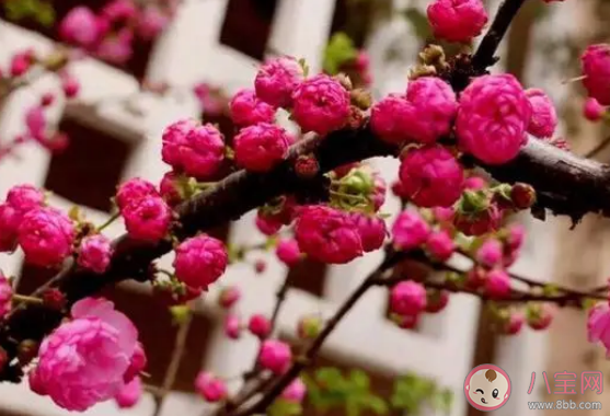 不要和斤斤计较的人一起旅游 旅游都有哪些忌讳