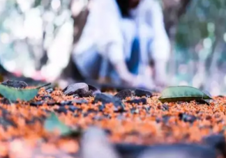 不要和斤斤计较的人一起旅游 旅游都有哪些忌讳