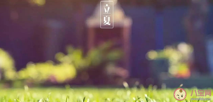 立夏看夏的说法指的是立夏时节什么意思 蚂蚁庄园5月6日答案解析