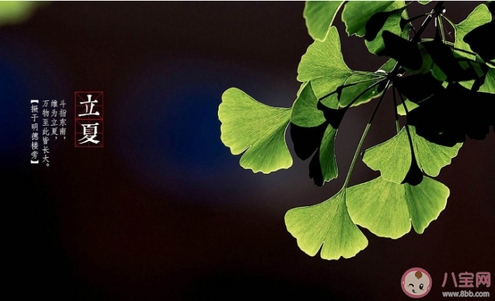 立夏代表真正入夏了吗 立夏后为什么还有冷空气