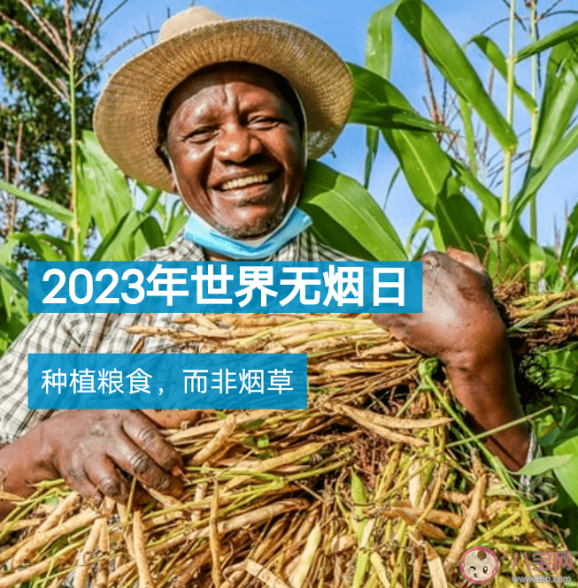 2023世界无烟日主题是什么 世界无烟日如何戒烟