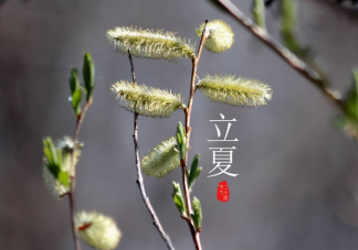 立夏吃一蛋力气长一万有什么说法 立夏吃鸡蛋能长力气吗