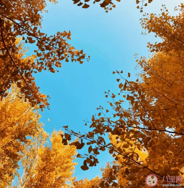 为什么很多人不发朋友圈了 关闭朋友圈一年后的变化有哪些