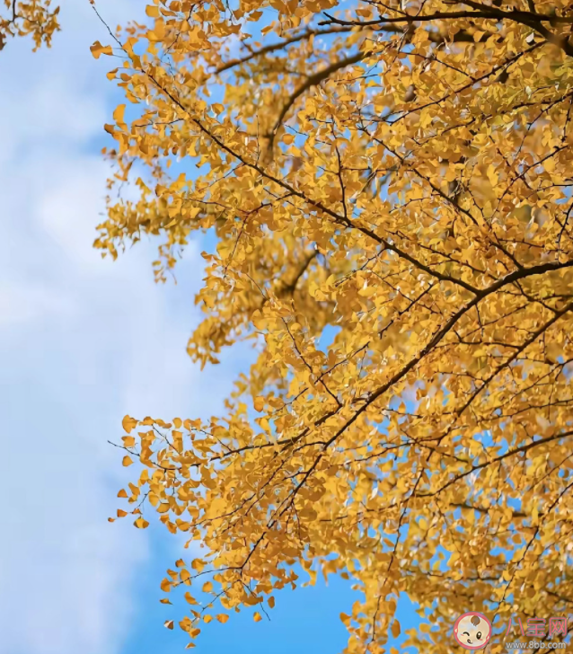 为什么很多人不发朋友圈了 关闭朋友圈一年后的变化有哪些