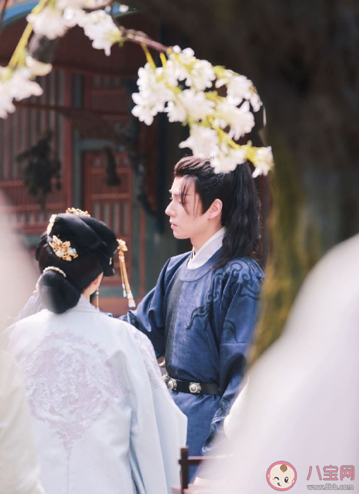 《惜花芷》原著小说内容是什么 《惜花芷》故事剧情梗概