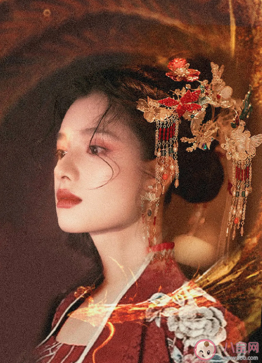 《惜花芷》原著小说内容是什么 《惜花芷》故事剧情梗概