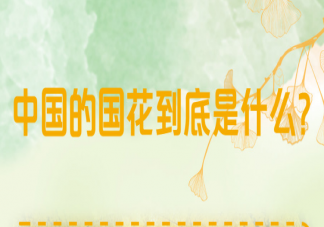 中国的国花到底是什么 中国为什么一直没有确定国花