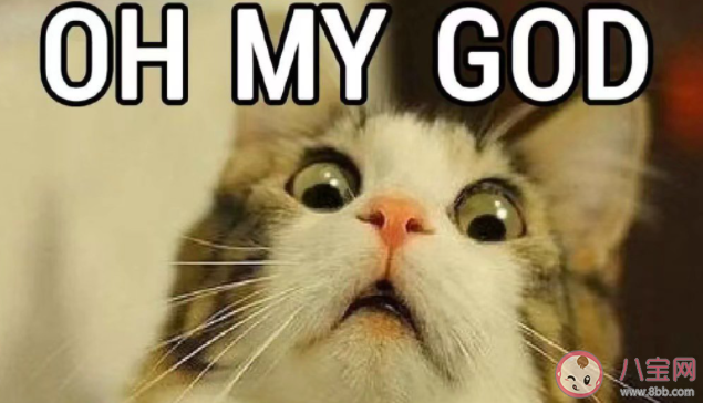 在怎样的一瞬间认清了一个人 如何才能认清一个人 在怎样的一瞬间认清了一个人 如何才能认清一个人