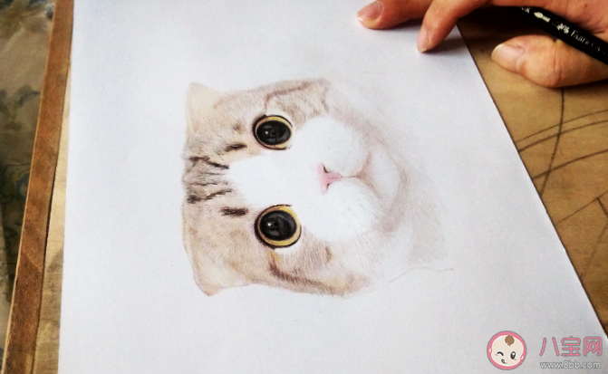 一个人应该有什么样的爱好 如何培养自己的兴趣爱好