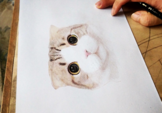 一个人应该有什么样的爱好 如何培养自己的兴趣爱好