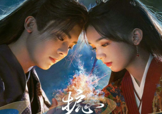 《护心》护心麟的作用是什么 《护心》官配有几对