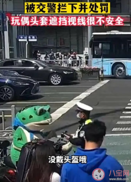 网红卖崽青蛙到底做错了什么 如何看待网红卖崽青蛙被罚