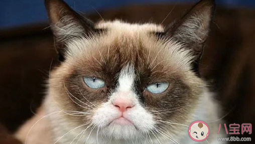 你有臭脸综合症吗 臭脸综合征有哪些面部特征