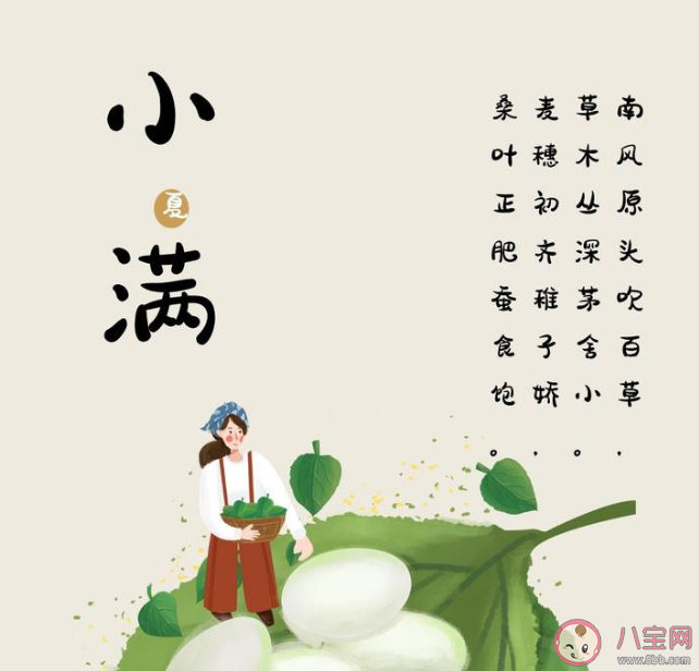 2023小满节气借势文案示例 小满海报文案赏析