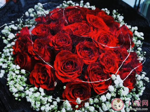 小满遇上521的文案句子 521遇上小满的朋友圈美好祝福说说