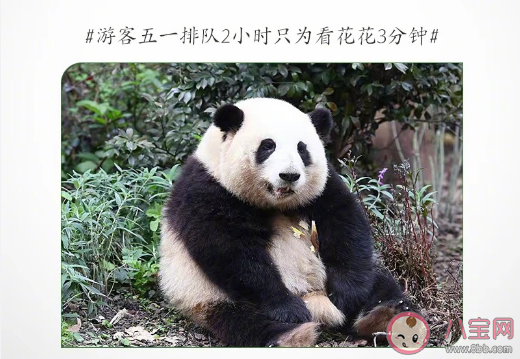 今年9大热门旅行方式 当代年轻人旅游主题