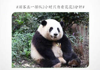 今年9大热门旅行方式 当代年轻人旅游主题