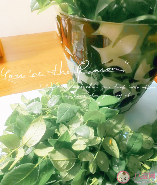 情侣之间有必要过520吗 情侣520怎么过 情侣之间有必要过520吗 情侣520怎么过