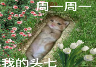 周一综合征心情文案句子 周一综合征朋友圈心情说说