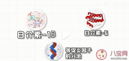 痛经是如何从肉体影响精神的 缓解痛经的5个方法