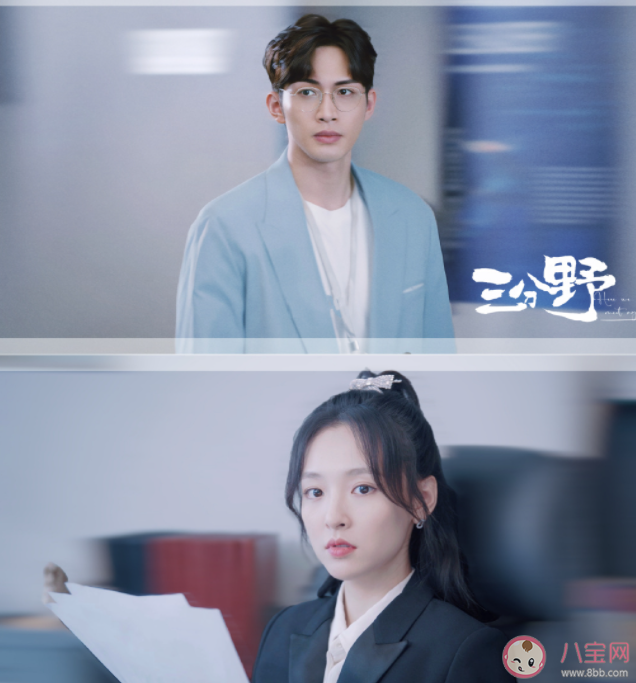 《三分野》徐燕时为什么拒绝向园 徐燕时的工作是什么