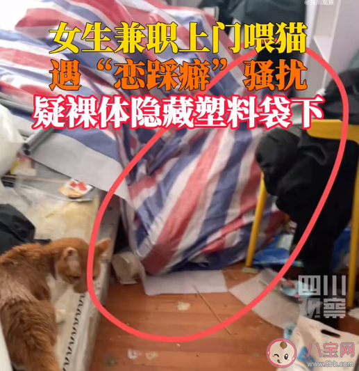 女生兼职上门喂猫遭恋踩癖骚扰 女生做兼职要注意些什么 女生兼职上门喂猫遭恋踩癖骚扰 女生做兼职要注意些什么