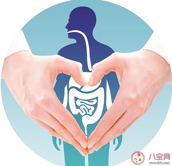肠道真的能影响大脑发育吗 影响肠道健康的有哪些因素