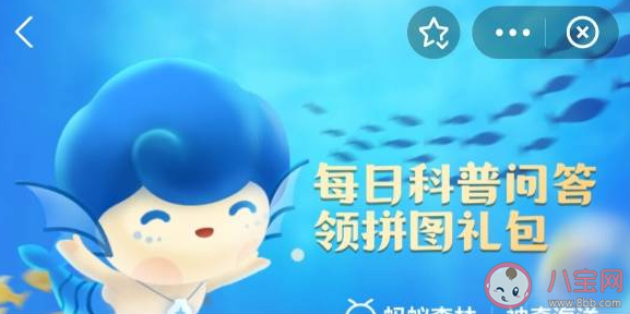 猜一猜蓝鲸的背部是什么颜色的 神奇海洋5月26日答案
