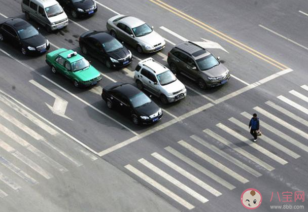 礼让行人该不该被取消 如何看待礼让行人的规定