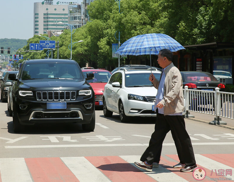 礼让行人该不该被取消 如何看待礼让行人的规定