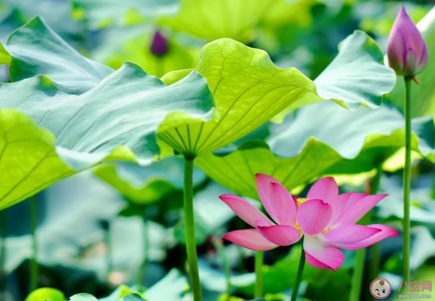上海打破百年来5月气温最高纪录 夏天太热了该怎么办