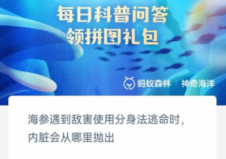 海参遇到敌害使用分身法逃命时内脏会从哪里抛出 神奇海洋5月29日答案