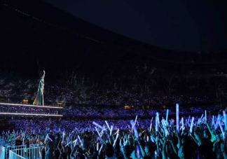 为什么演唱会不能选位置 演唱会只能选区域的原因