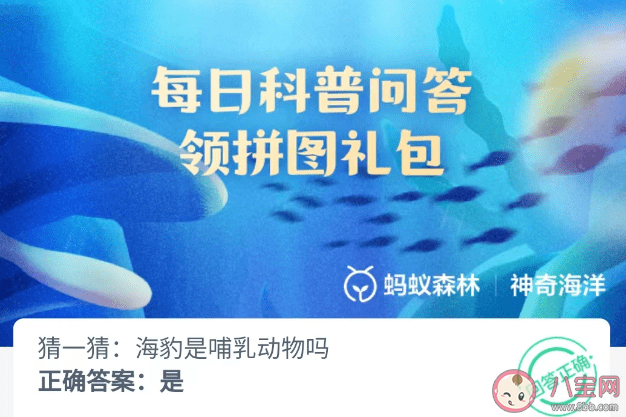 猜一猜海豹是哺乳动物吗 神奇海洋5月30日答案