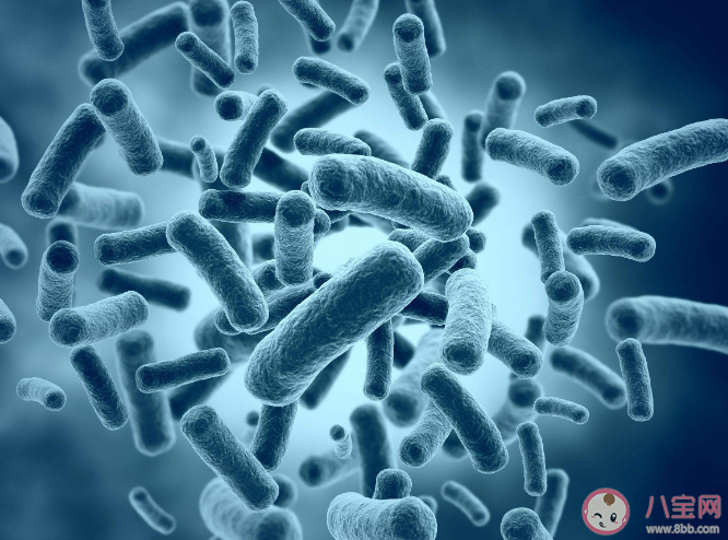 哪些习惯会影响肠道健康 如何养好肠道微生物