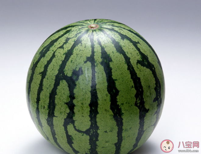 西瓜底部的圈越小越有可能 蚂蚁庄园6月2日答案