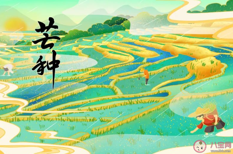 2023芒种节气图片壁纸说说文案 2023芒种节气文案带图句子