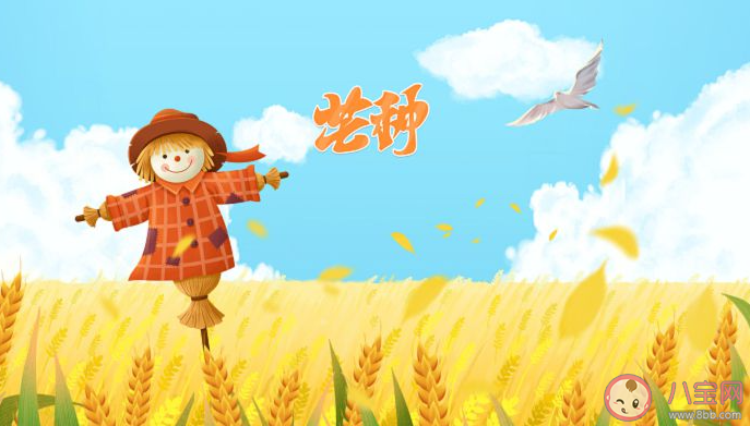 2023芒种节气图片壁纸说说文案 2023芒种节气文案带图句子