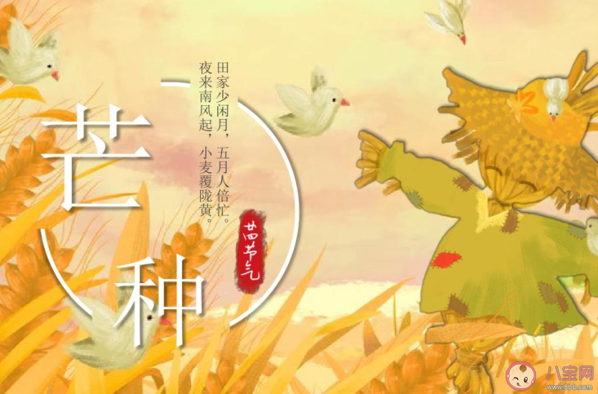 2023芒种节气图片壁纸说说文案 2023芒种节气文案带图句子