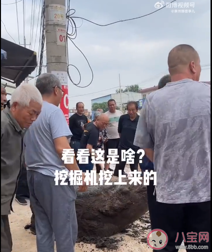 河南一村庄修路挖出大石龟 石龟在古代象征着什么