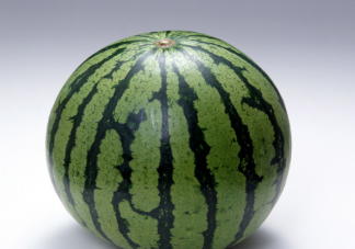 西瓜底部的圈越小越有可能 蚂蚁庄园6月2日答案