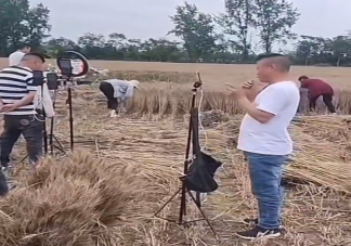 网红扎堆到麦地直播割麦是怎么回事 如何看待网红到麦地直播