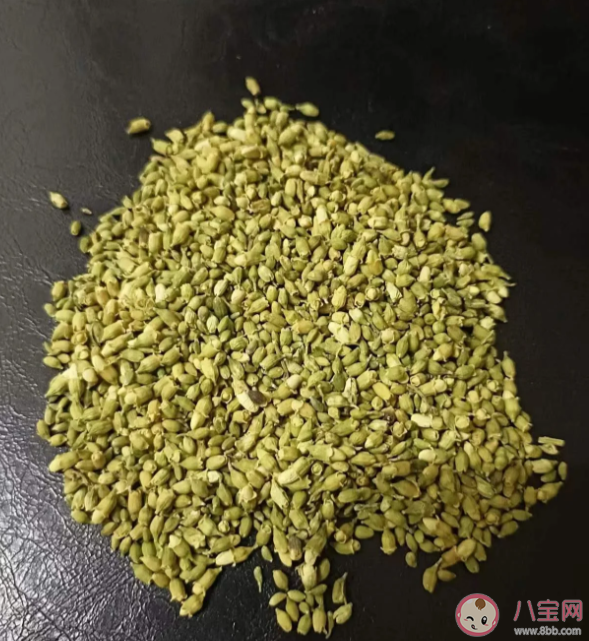 蚂蚁庄园槐米茶中的槐米其实是什么 6月3日答案介绍