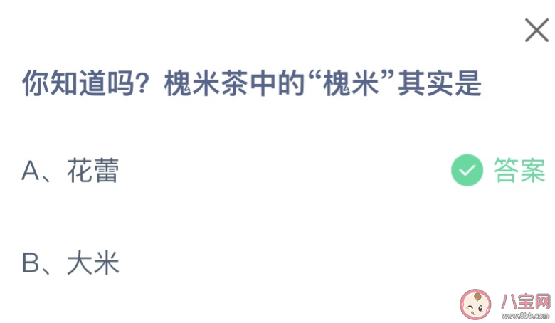 槐米茶中的槐米其实是什么 蚂蚁庄园6月3日答案