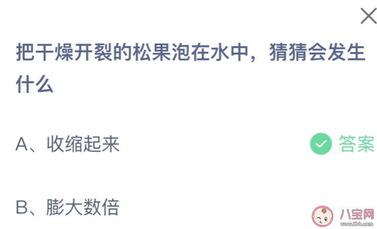 蚂蚁庄园6月3日答案：把干燥开裂的松果泡在水中猜猜会发生什么