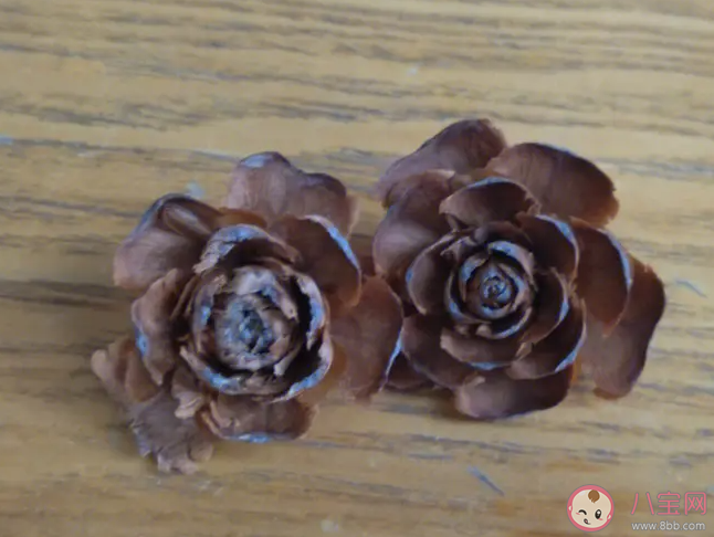 蚂蚁庄园6月3日答案：把干燥开裂的松果泡在水中猜猜会发生什么