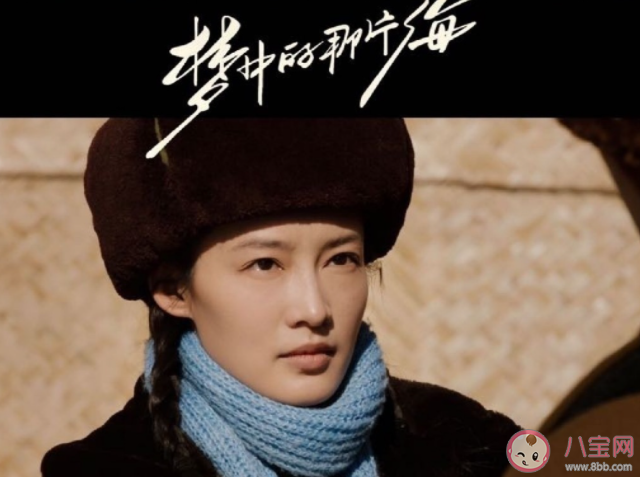 《梦中的那片海》观后感剧评 《梦中的那片海》好看吗